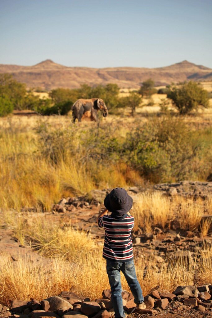Budget vs. Luxury Family safari trip