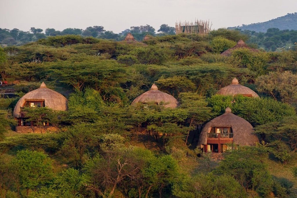 Family safari in Kenya and tanzania