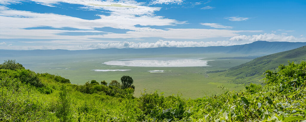 African Family Safari tour